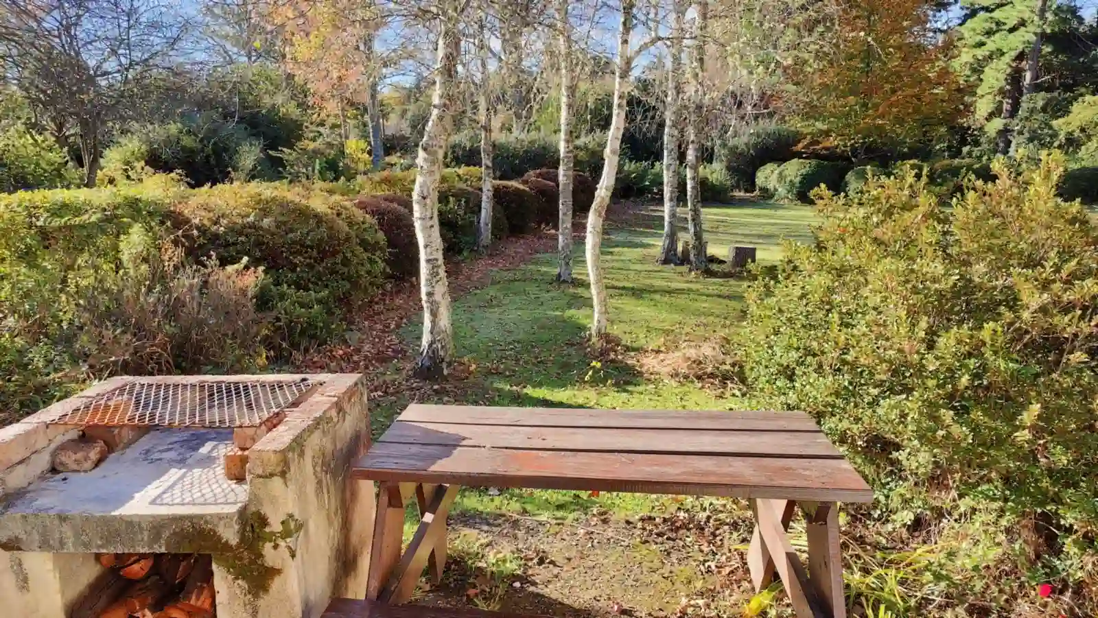 Birchwood view 1
